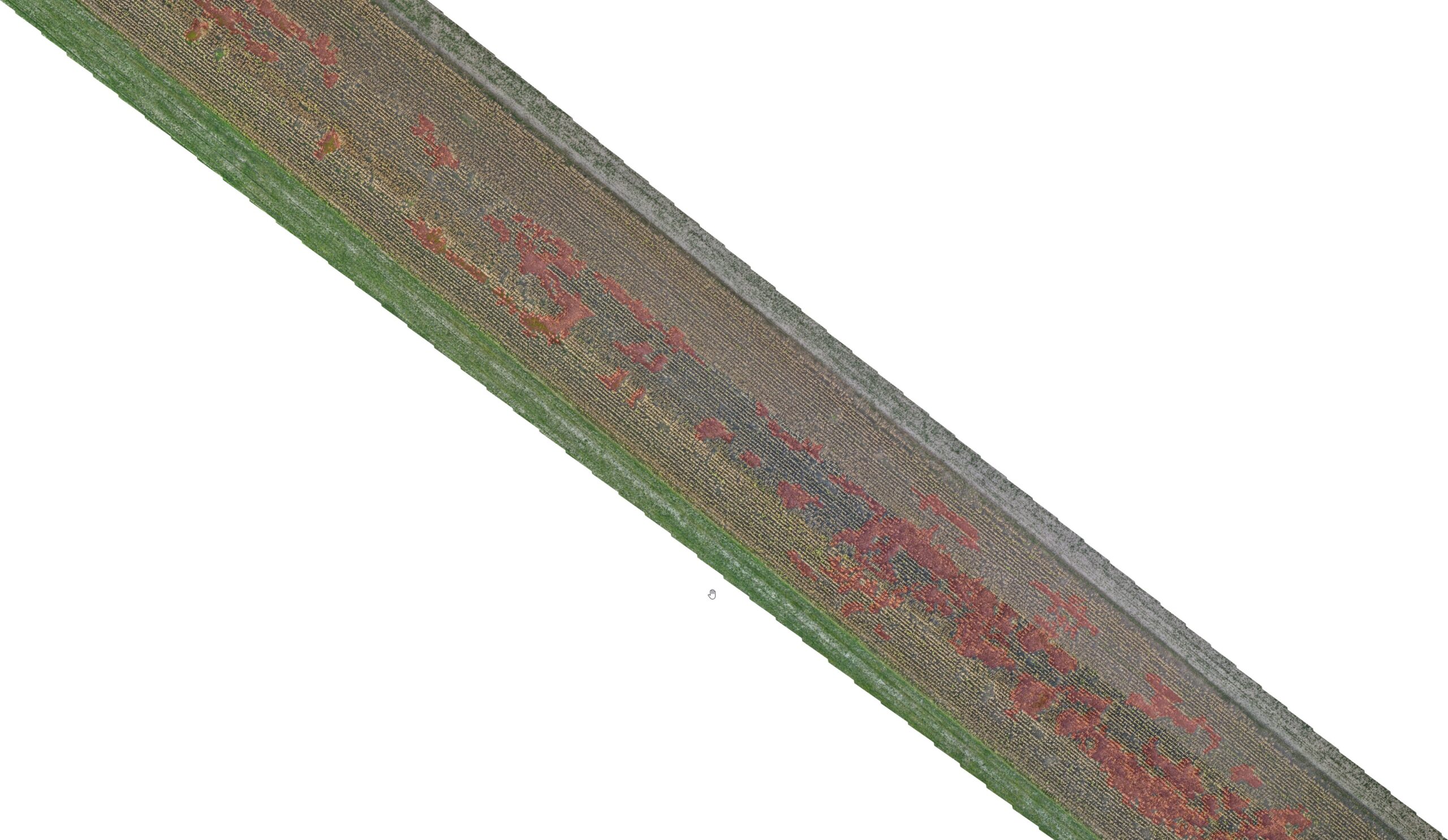 Agrokopter analiza szkód łowieckich