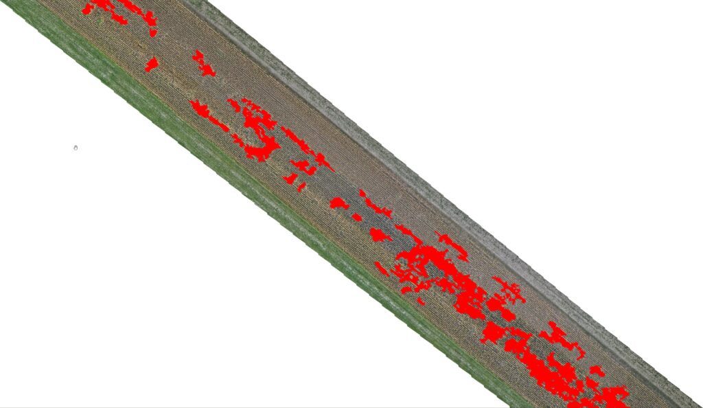 Agrokopter analiza szkód łowieckich