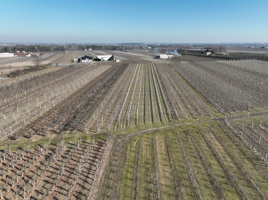agrokopter opryski sadów dronem