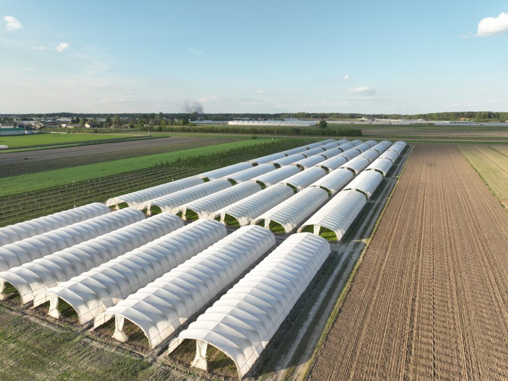 cieniowanie tuneli foliowych ochrona przed nagrzewaniem