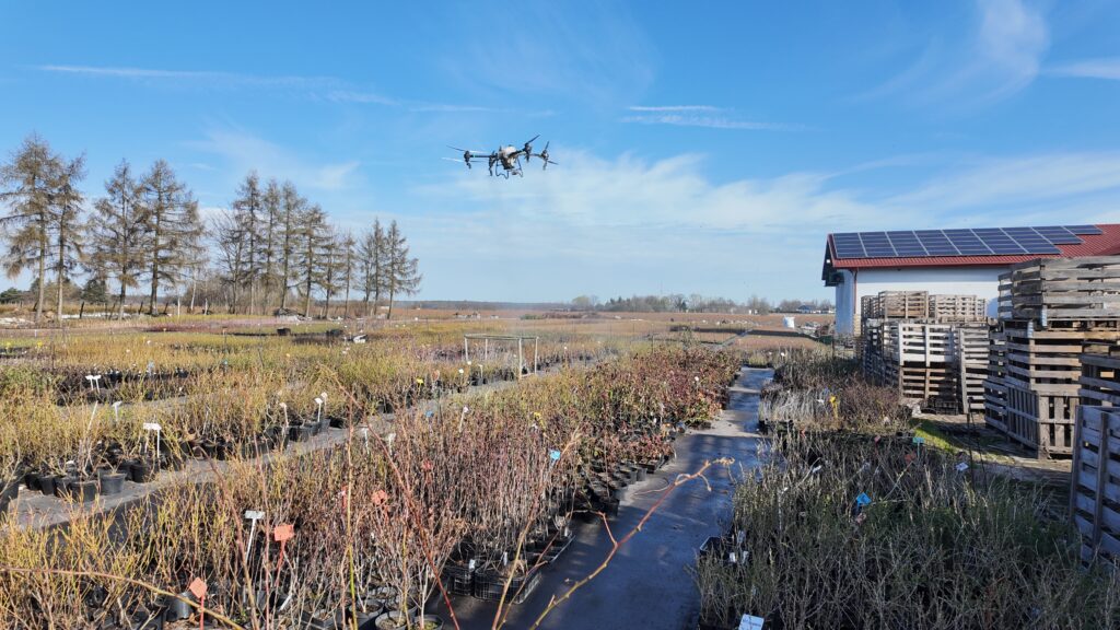 oprysk dronem w szkółce