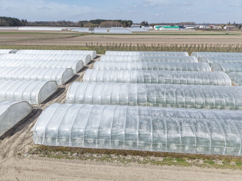 cieniowanie tuneli z uprawami papryki