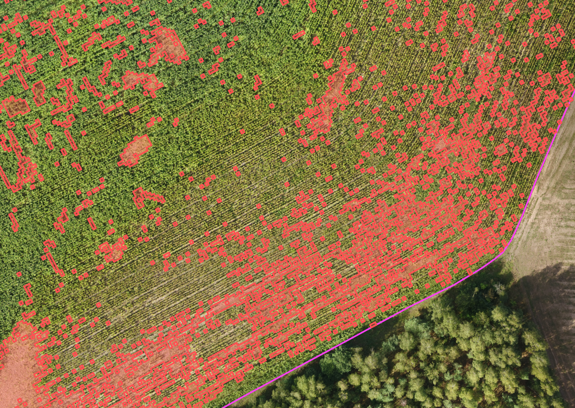 szacowanie szkód łowieckich