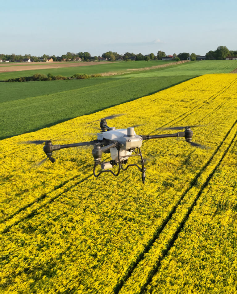 dron-nad-polem-rzepaku