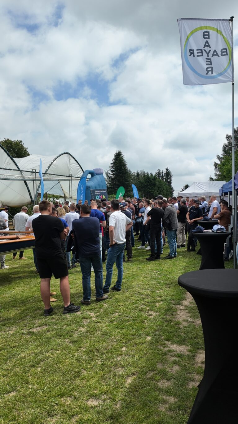 pokazy na plantacji porzeczki