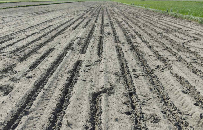 usługa szacowanie szkód łowieckich w agrokopter